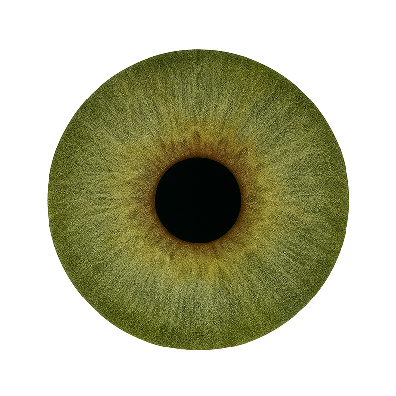 Deep olive green