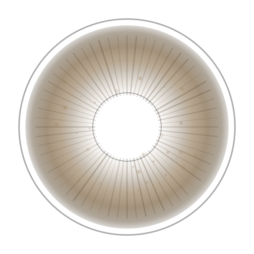 TEST LENS