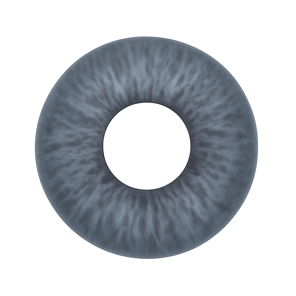 lenses
