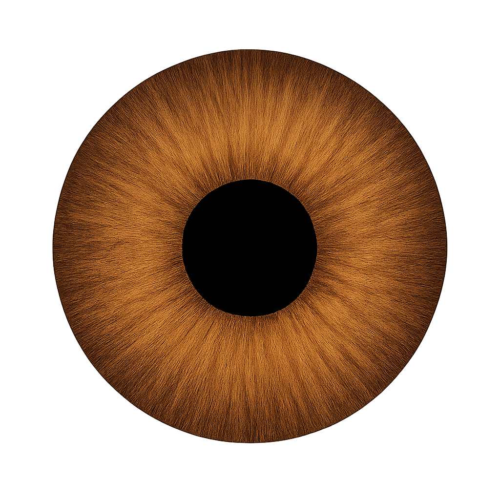 lenses