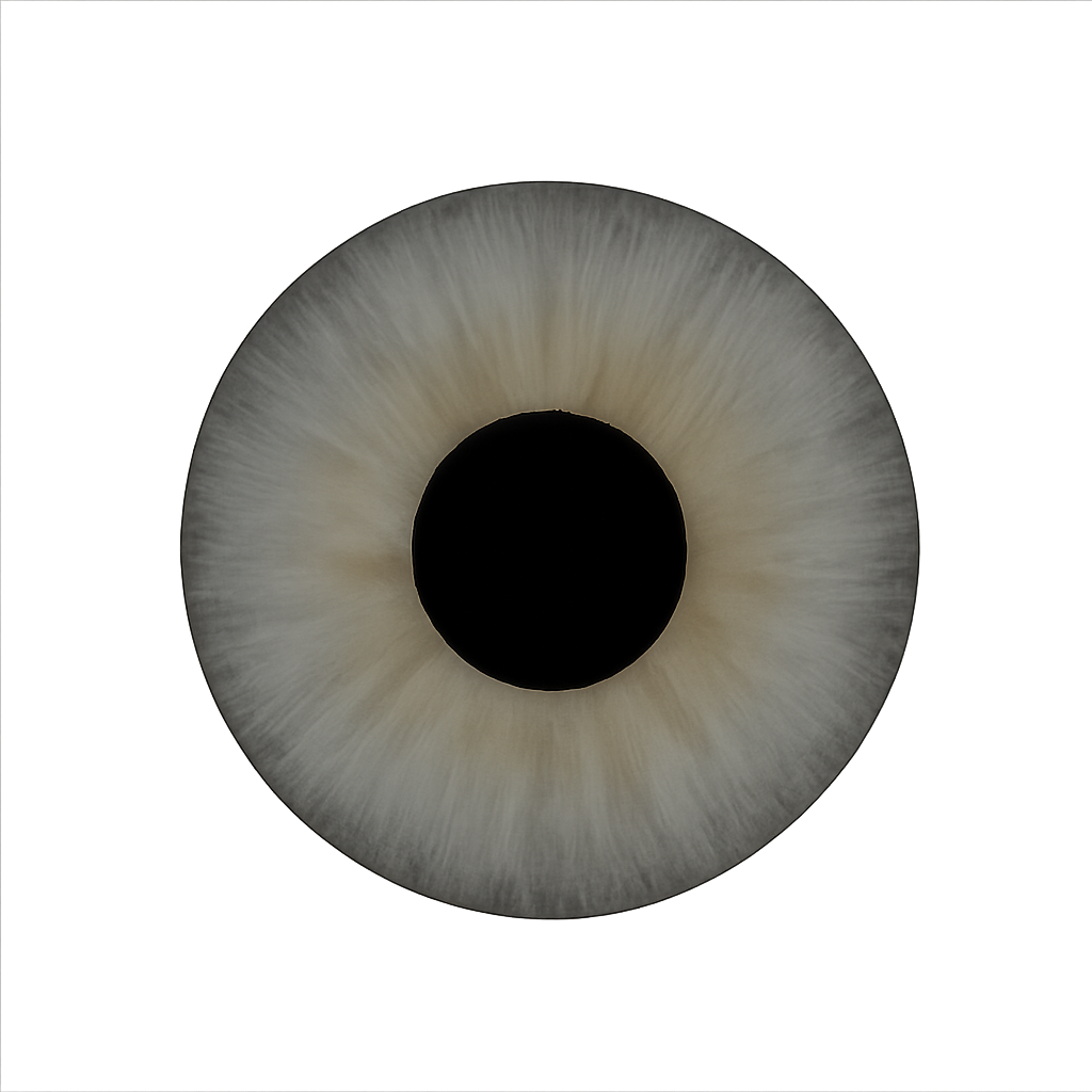 lenses
