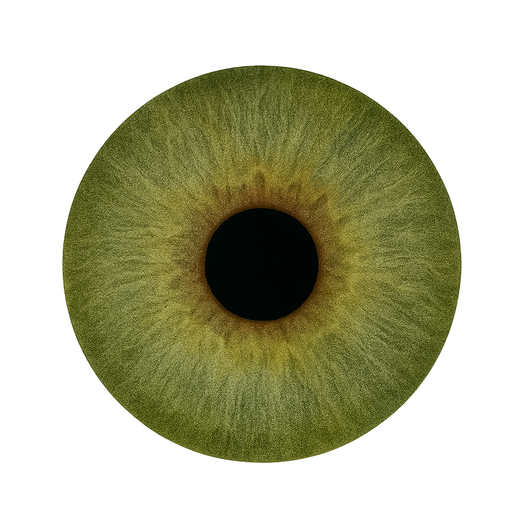 lenses