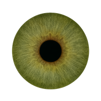 Deep olive green