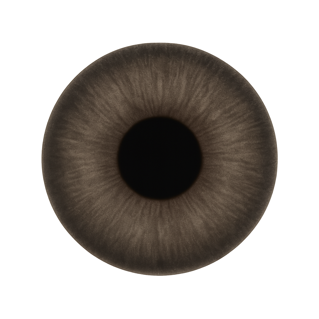 lenses