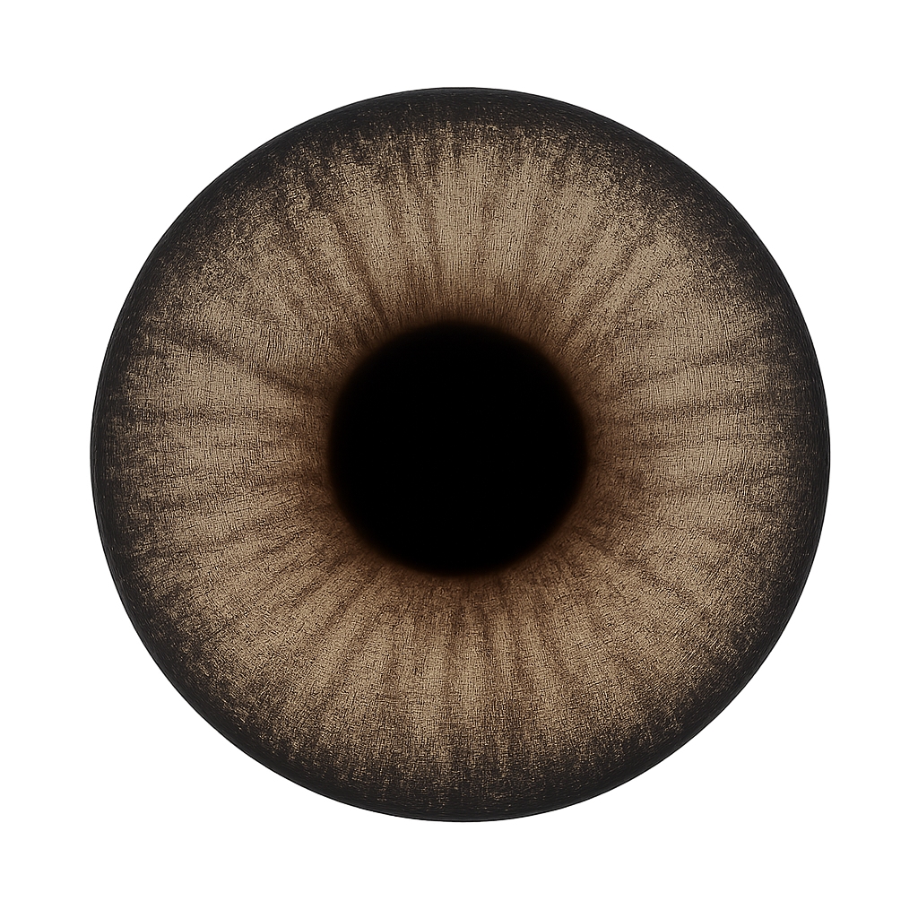 lenses
