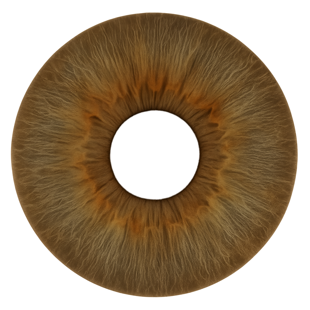 lenses