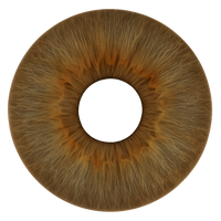 Light hazel