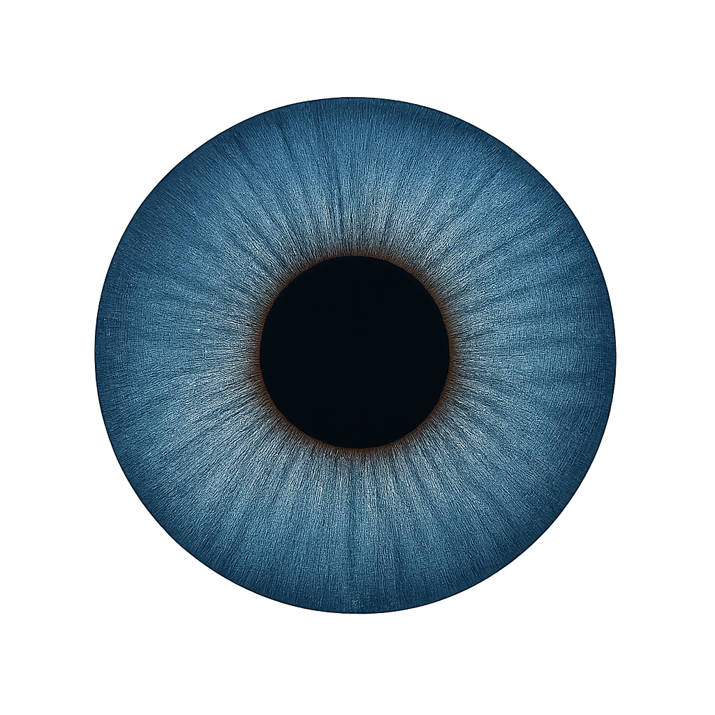 lenses