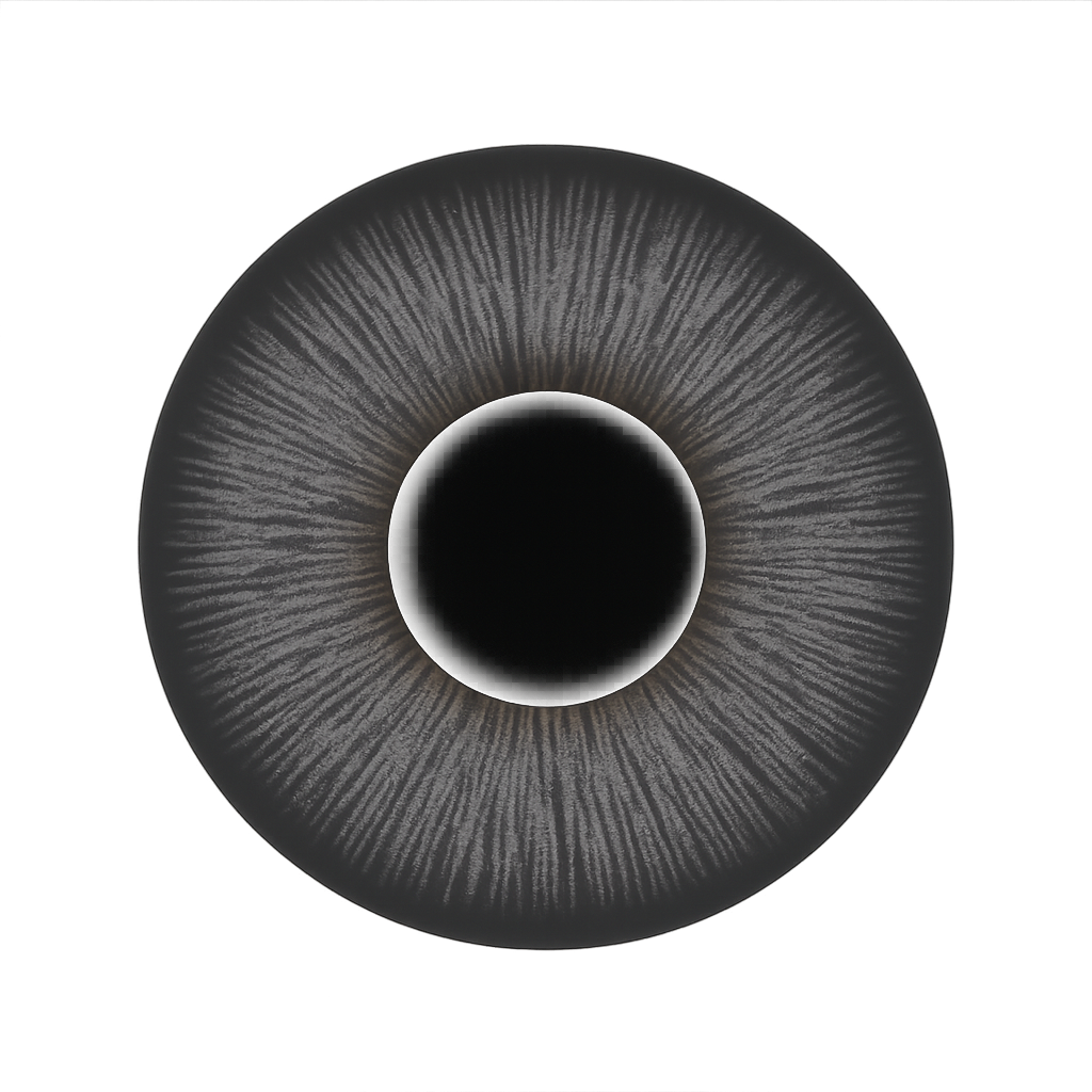 lenses