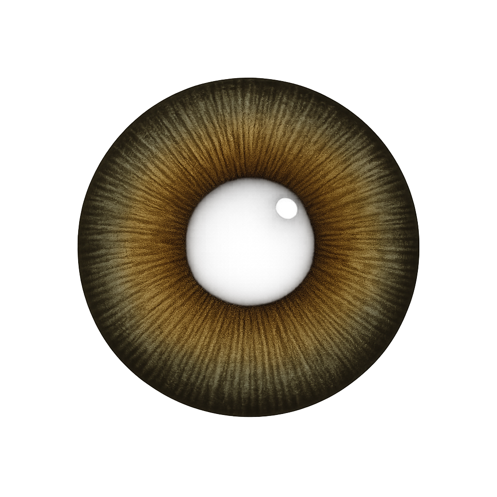 lenses