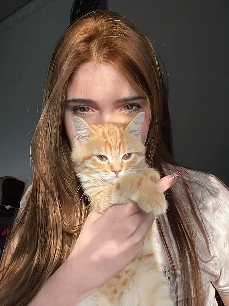 Farah Firas